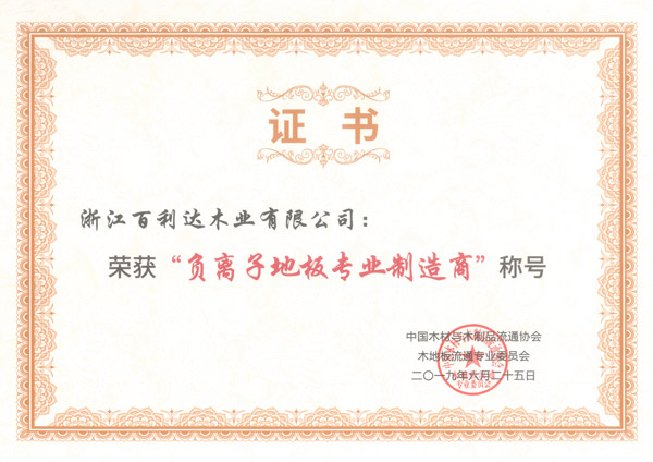 負(fù)離子制造商證書(shū)